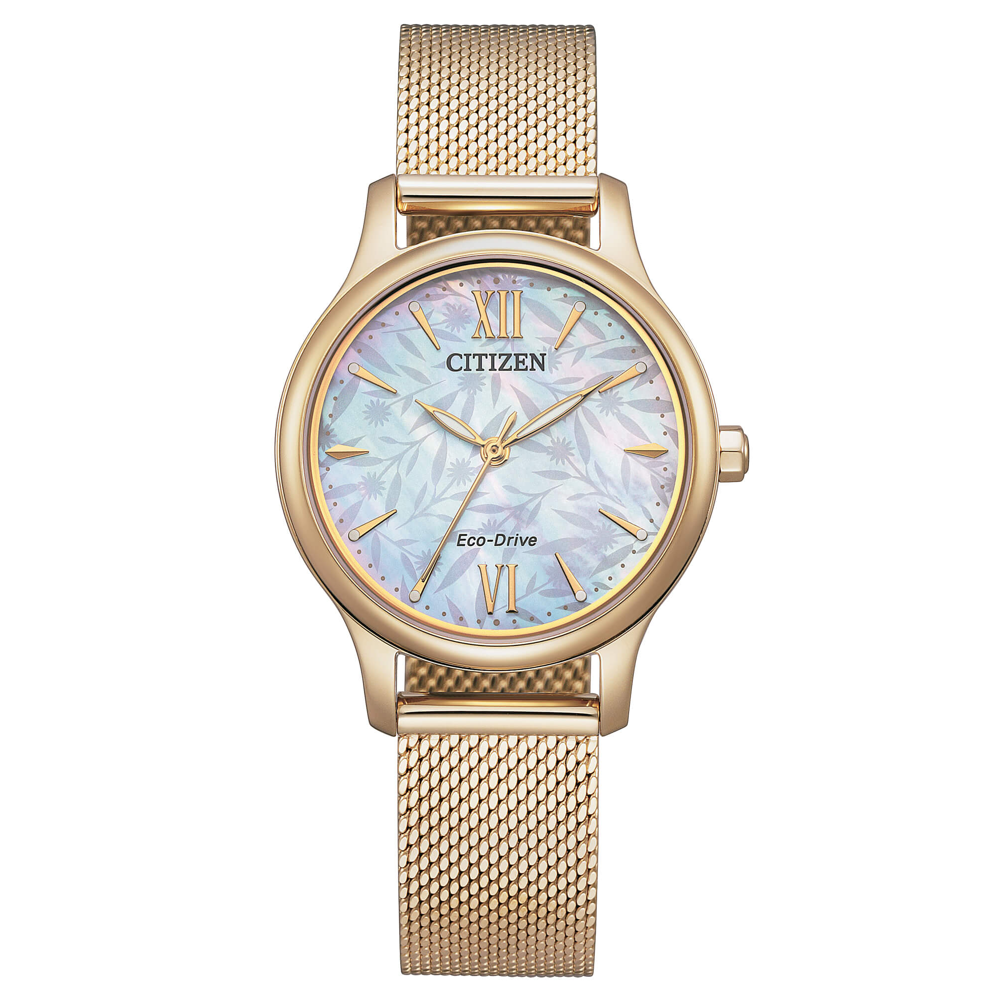 Orologio Citizen Ecodrive