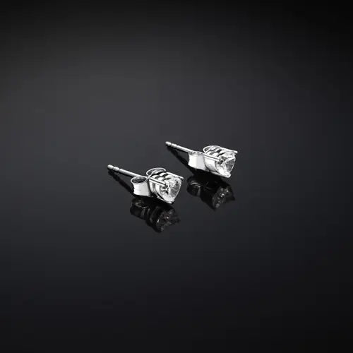 Orecchini Chiara Ferragni Silver