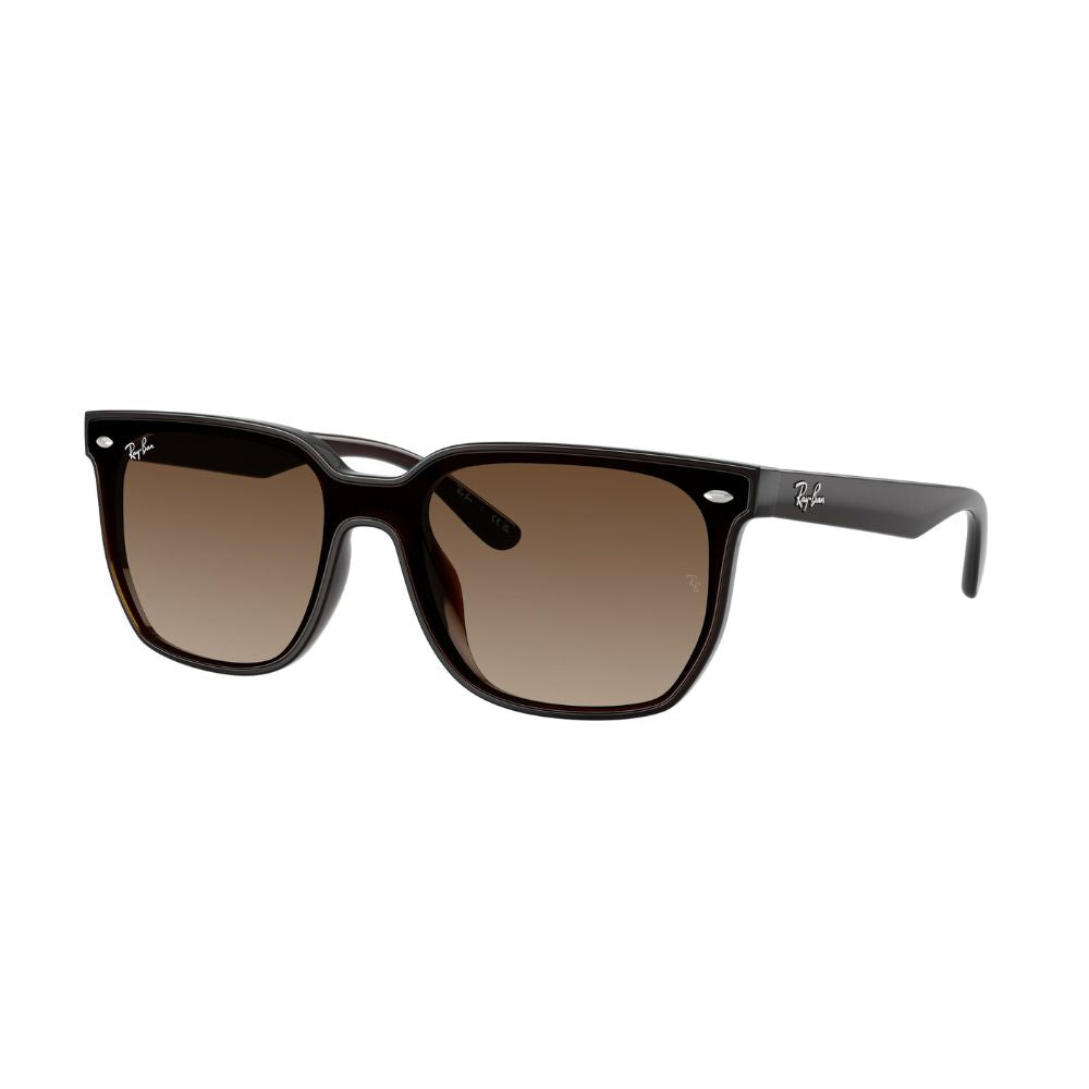 Occhiali da sole Ray-Ban 0RB4466D marrone